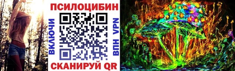 МЕГА как войти  Теберда  Галлюциногенные грибы Psilocybine cubensis 